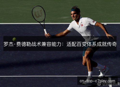 罗杰·费德勒战术兼容能力：适配百变体系成就传奇